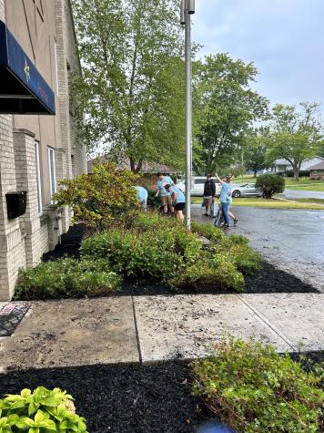 Group of people spreading mulching