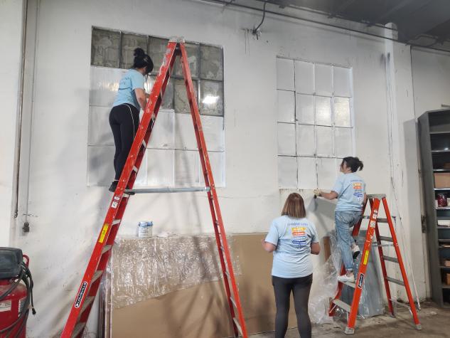 Two ladies on ladders painting windows